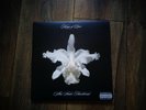 Kings of Leon - Aha Shake Heartbreak  2x10