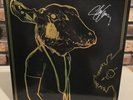 SHAKEY GRAVES 