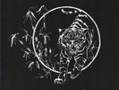 PLASTIC SURGERY EP (repress) -rivolta- Oi Punk Nabat Asociale Klasse Kriminale