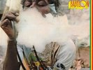 U-Roy - Dread In A Babylon - Vinyl Record.. - e2508e