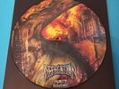 Defecation Picture Vinyl Purity Dilution Napalm Death Repulsion Carcass...