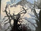 Bauhaus - Burning from the inside vinyl LP