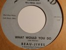 45 - Doo-wop - Beau-Jives - What Would You Do - 1962 - Shepherd - VG+