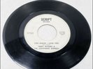 RARE GARAGE  Terry Rogers & The Lightning Express / private press SCRIPT 45