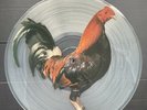 King Kurt Big Cock UK LP Picture Disc