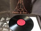 BLAST It's In My Blood LP SKATE PUNK ROCK Hardcore