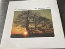 The Mountain Goats The Sunset Tree Vinyl LP Rare Out of Print