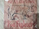 Foo Fighters For All The Cows Roswell Rec BLUE Vinyl 7