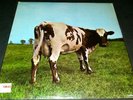 PINK FLOYD Atom Heart Mother SKAO Harvest  Holy Grail RED SMAS sticker SEALED