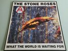 The Stone Roses   What The World Is Waiting For Fool's Gold 12