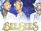 The Bee Gees Timeless The All-Time Greatest Hits 2xDiscs New Vinyl LP Album