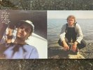 Mac Demarco 2 Vinyl Pair | Another One, Salad Days
