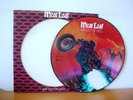 MEAT LOAF Bat Out Of Hell Original PICTURE DISC LP from 1977 (EPIC E99 34974).