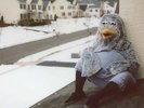 New Music The Wonder Years 