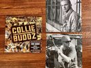 Vtg Collie Buddz 2 LP Vinyl by Collie Buddz  Rare Reggae Album 2007 Dancehall