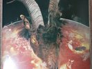 The Rolling Stones - Goats Head Soup (2 LP) - Alternative Cover - Clear vinyl