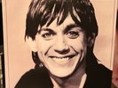 Iggy Pop Lust For Life Vinyl Record 2017 US LP