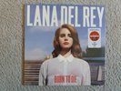 Vinyl 12