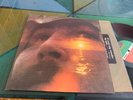 LP USA David Crosby – If I Could Only Remember My Name