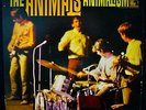 THE ANIMALS Animalism Rare 1966 Promo Album Eric Burdon MGM #E4414
