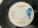 Northern Soul 45/ The Newcomers 