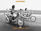 Flower Travellin Band - Anywhere [New Vinyl LP] Picture Disc