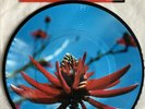 DEPECHE MODE - Precious - Rare UK 7
