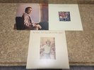 Paul Simon record lot-Graceland-greatest hits-still crazy after all these years