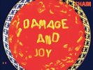 The Jesus and Mary Chain : Damage and Joy VINYL 12