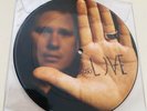 Angels And Airwaves Vinyl Surrender Picture Disc Blink 182