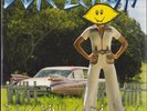 Dope Lemon ‎- Rose Pink Cadillac (Vinyl 2LP - Limited Picture Disc - AUS 2022)