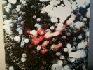 PINK FLOYD   ORIGINAL 1972 LP   OBSCURED BY THE CLOUDS   PROG PSYCH