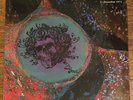 Grateful Dead Live at Winterland 12/31/1971 180g VINYL UK Import New SEALED