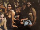 The Jimi Hendrix Experience - Electric Ladyland (LP) (G-/G)