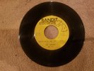 The Arrows Bring Back The One I Love 45rpm
