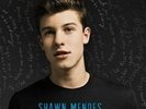 Shawn Mendes - Handwritten / Blue / LP Vinyl Record / Brand New