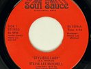 STEVIE LEE MITCHELL Stylistic Lady Soul Sauce Ohio Funk Disco RARE NM 45 HEAR