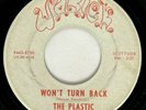 THE PLASTIC ICE CUBE Won't Turn Back Warick Northern Soul Rare 45 HEAR