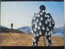 Pink Floyd  -  Delicate soud of thunder -  /press in Holland/    - 2 LP