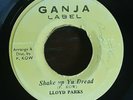 Shake up Your Dread - Lloyd Parks
