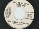 GARAGE PSYCH -  13TH FLOOR ELEVATORS - YOU'RE GONNA MISS  ME- HEAR 1966 WLP I.A.