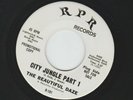 GARAGE PSYCH FUZZ - BEAUTIFUL DAZE -  CITY JUNGLE PART 1 - HEAR -1968 PROMO RPR