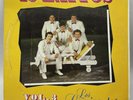 Los Caminantes 15 Exitos  12” Vinyl Record Lp Vg+ 12”