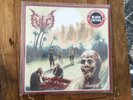 Fulci 