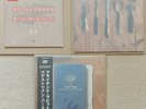 A Frightened Rabbit EP / State Hospital RSD 2022 & Pedestrian Verse Obi Vinyl LP