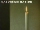 Sonic Youth  Daydream Nation Double Vinyl LP New Sealed