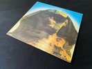 Kiss – Hot In The Shade (1990) Vinyl Used Made in Argentina