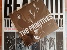 Lou Reed pre-Velvet Underground: THE PRIMITIVES