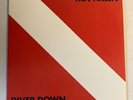 VAN HALEN DIVER DOWN Original US First Press 1982 VINYL 12” Record NM/NM