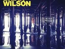 No Pier Pressure by Brian Wilson (Vinyl, Apr-2015, 2LP, Capitol) *NEW* FREE Ship